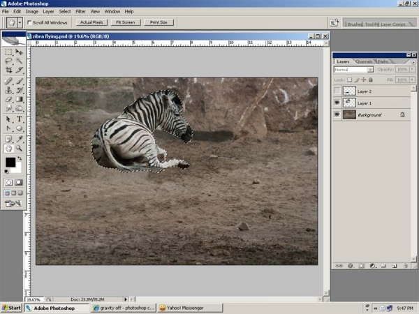 Creation of Resting Zebra: Step 1